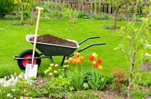 Gardeners Clwyd - Gardening Services